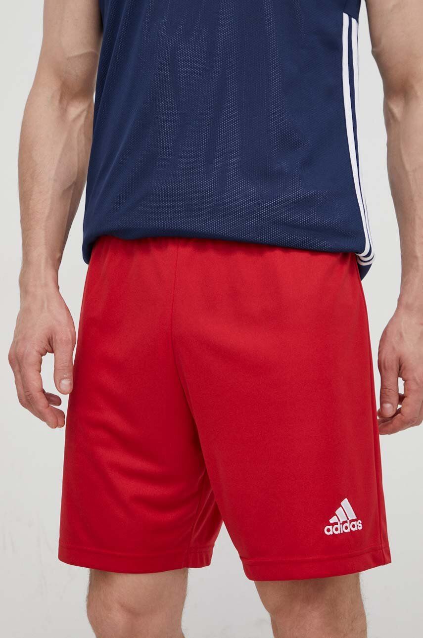 Imagine adidas Performance pantaloni scurți de antrenament Entrada 22 H61735 bărbați, culoarea roșu H61735