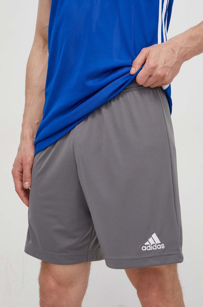 Imagine adidas Performance pantaloni scurți de antrenament Entrada 22 H57505 bărbați, culoarea gri H57505